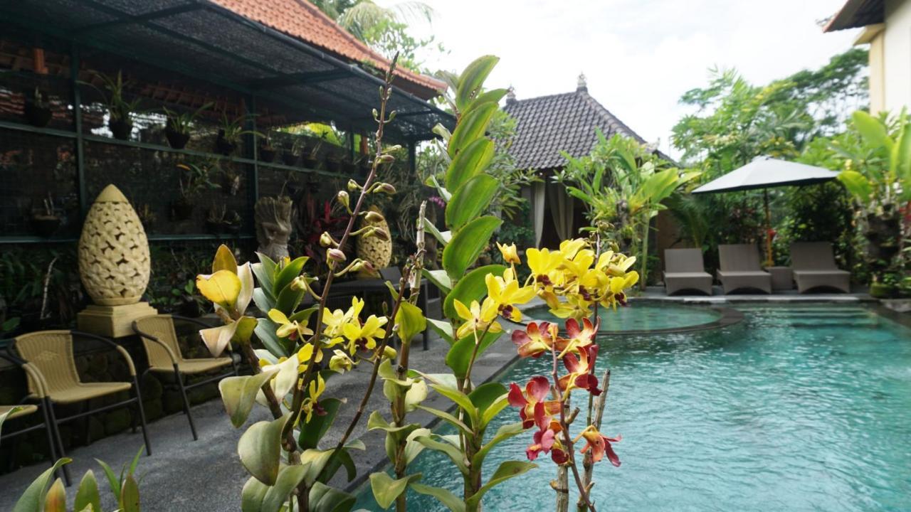 Villa Cilinaya Ubud מראה חיצוני תמונה